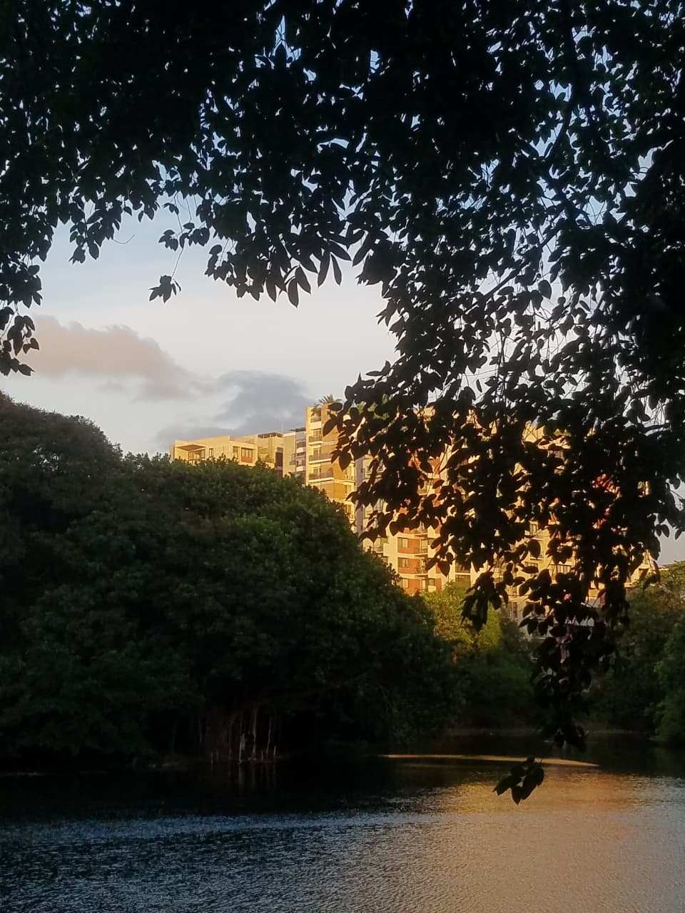 Dhanmondi Lakeside